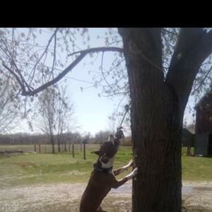 Meet your Posher, Joseph